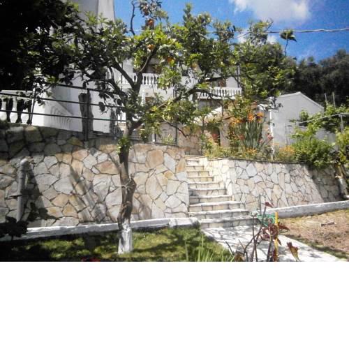 Pantazis Studios