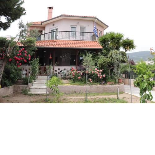 Papas House