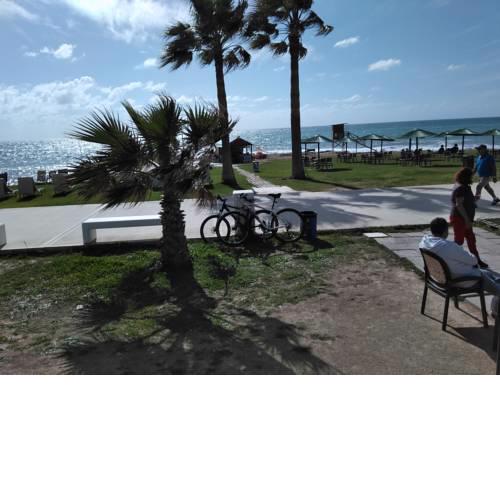Paphos Inn
