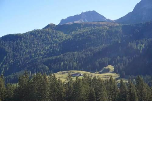 Paradies 305