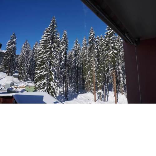 Paradies 401