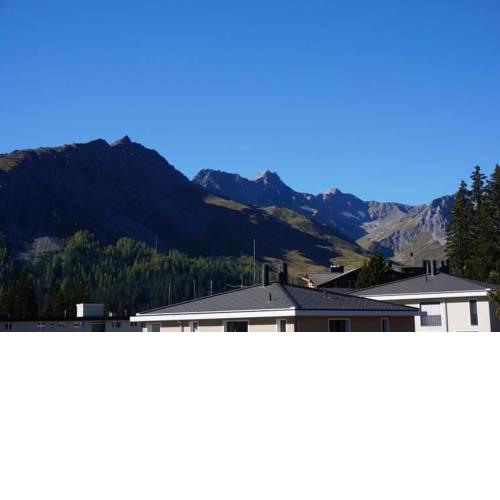 Paradies 411