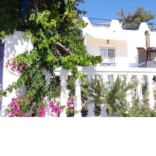 Paradis Studios