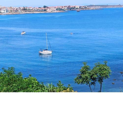 Paradise cove Apartment 3