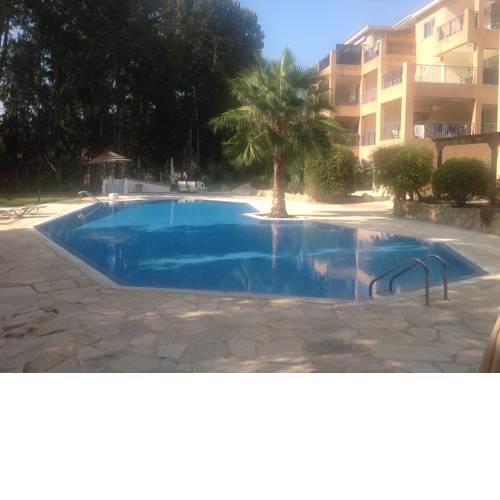 PARADISE GARDEN 4, KATO PAPHOS