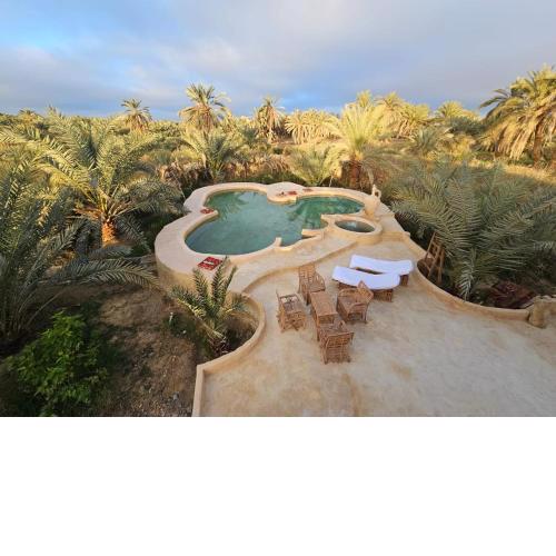 Paradise in a palm forest with epic pool and fire pit