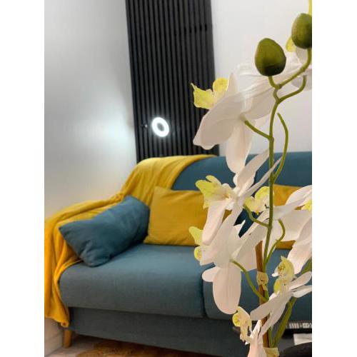 paris beautiful cozy studio