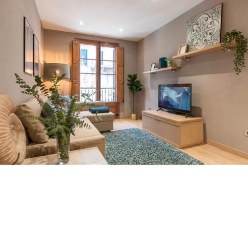PASEO DE GRACIA MODERNIST APARTMENT TWO BED TWO BATH Ref MRHAH