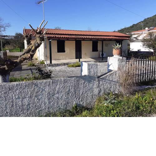 Pavlos House