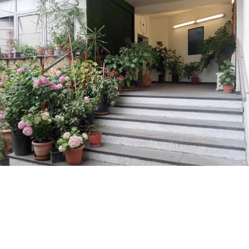 Pazari_Ri_Studio