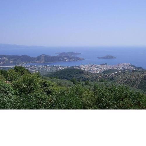 Peaceful house in Skiathos!Stunning surroundings!