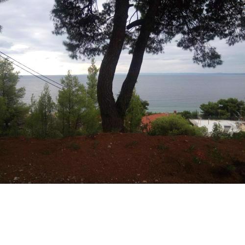 Pefkonas apartments2 100 m from the beach