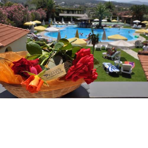 Pegasus Hotel