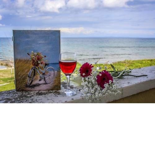 Pelagion II Sea Coral - Beachfront holiday home