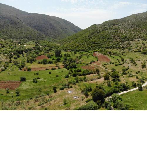 Pelekiti Mountain Retreat