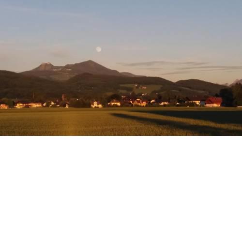 Pension Gallnhof