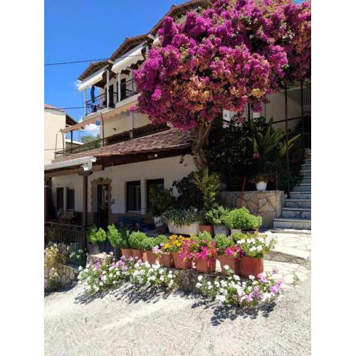 pension holidays studios