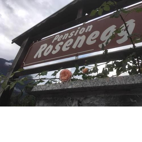 Pension Rosenegg