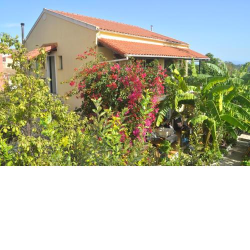 Pension Telis und Brigitte 1