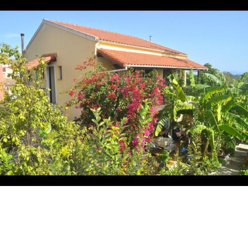 Pension Telis und Brigitte 3