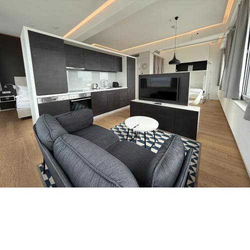Penthouse Loft with Skyline-View