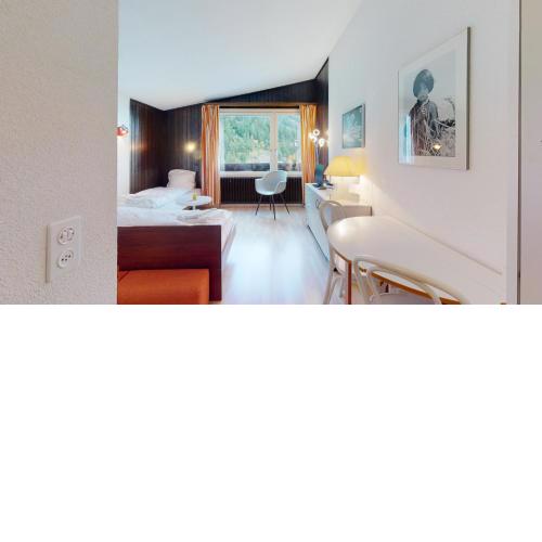Penthouse studio, perfect place for ski touring !