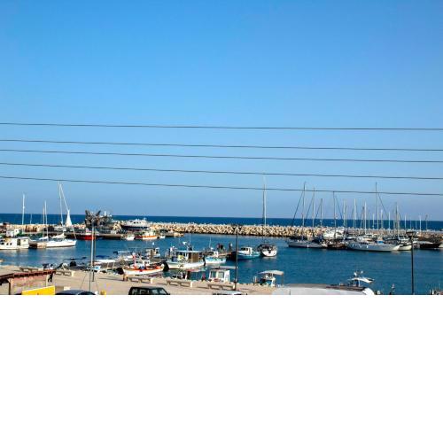 Penthouse with roof garden in Zygi Marina