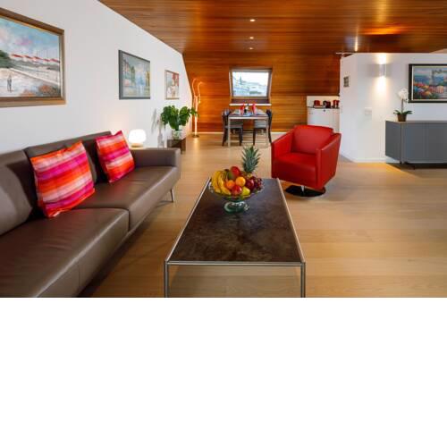 Penthouse zum Löwen