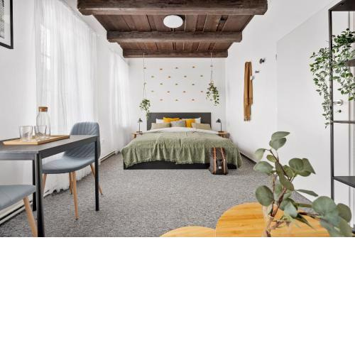 Penzion U Libušky #29 brno-living cz
