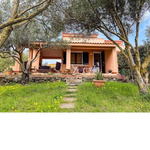 Peonia sunlight villa