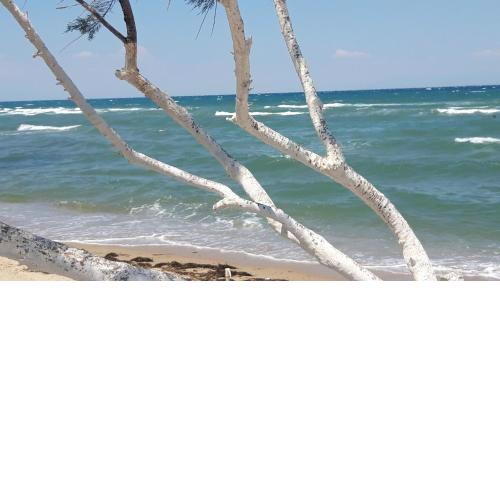 Peraia white suites