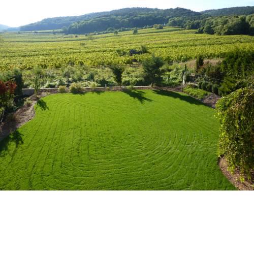 Perchtoldsdorf Weinberge