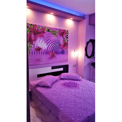 Perfect Suites