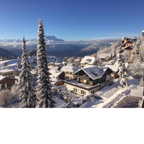 Perle de Leysin