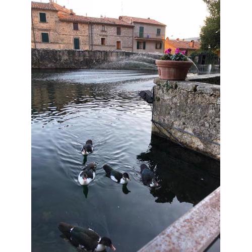 Peschiera sweet home