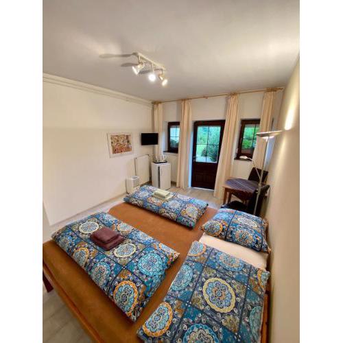 Pet friendly apartment