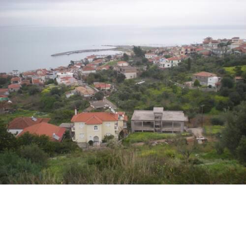 Petalidi Gedigio