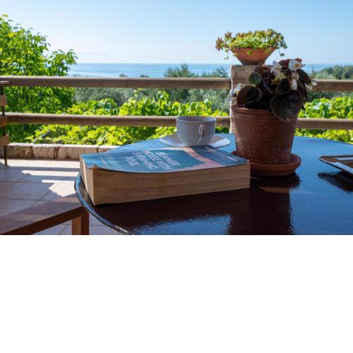 Petalidi Olive Garden Stone Villa near the beach