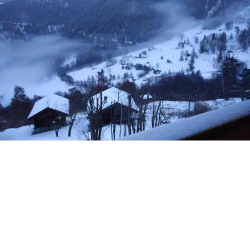 Petit chalet de montagne