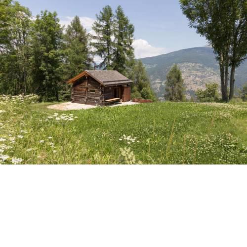 Petit Chalet proche de Thyon & Remontées