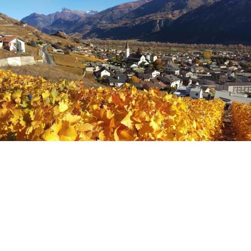 Petit Pré