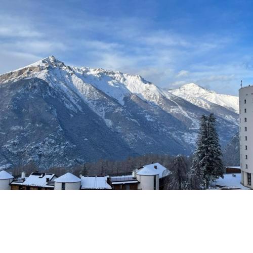 Petite Fleur - Bluchalet