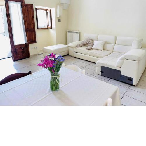Petra Home