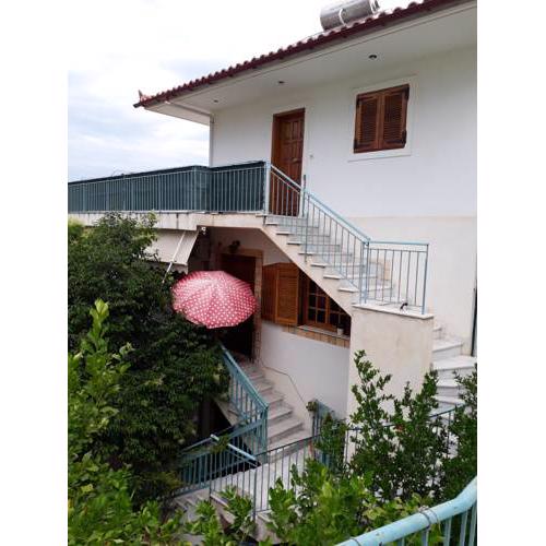 Petro's House 2