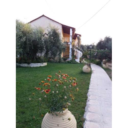 Petros Studios