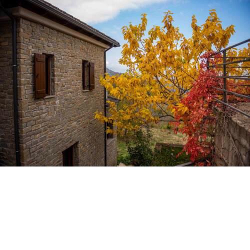 Peukofyto Mountain Retreat