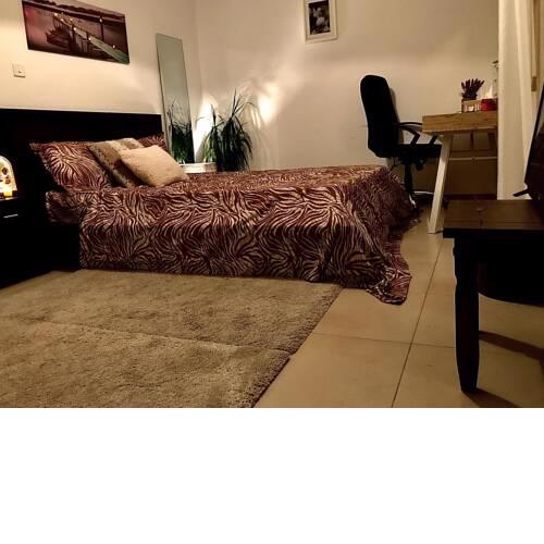 PHIDIAs HOMEs ELYSIa