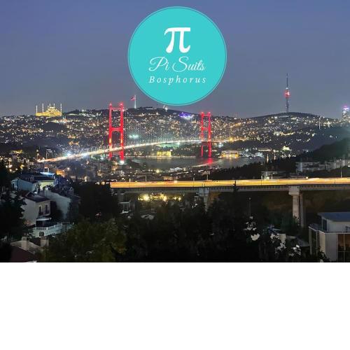 Pi Suits Bosphorus