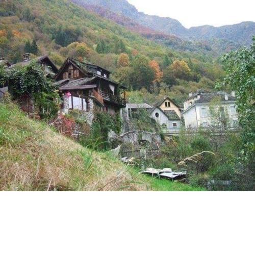 Piccola oasi nella frescura delle Alpi tra verdi boschi e sorgenti di acqua purissima