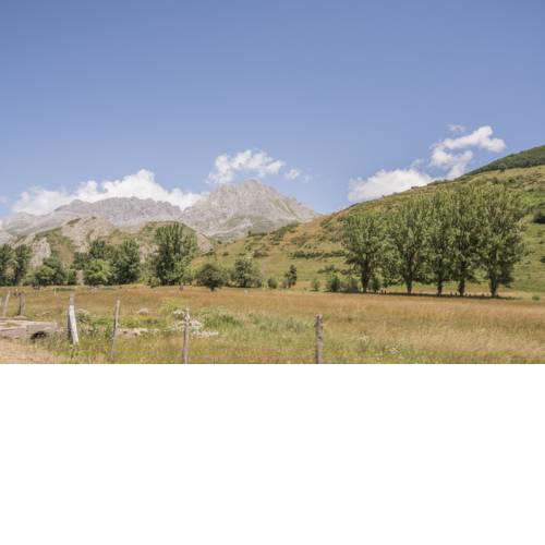 PICO LA BICHA